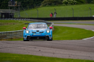 Porsche Connect